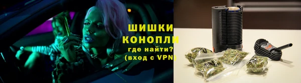 винт Белокуриха