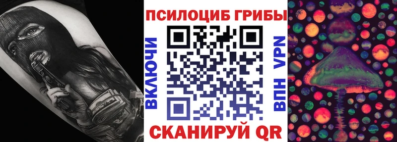 Псилоцибиновые грибы Cubensis  Соль-Илецк 
